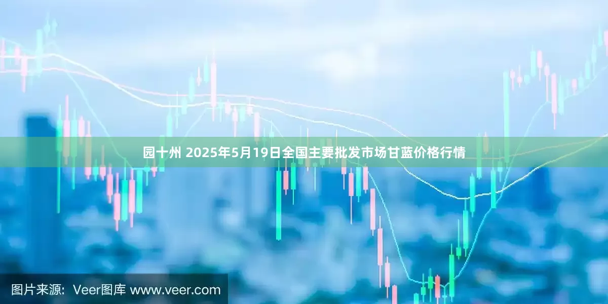 园十州 2025年5月19日全国主要批发市场甘蓝价格行情