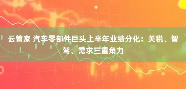 云管家 汽车零部件巨头上半年业绩分化：关税、智驾、需求三重角力